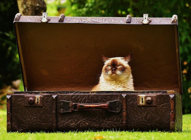 Refurbished Vintage Suitcases